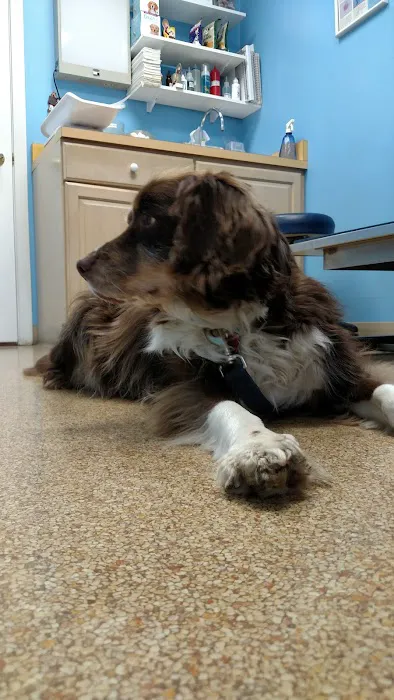 Country Court Animal Hospital 4
