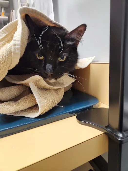 Country Court Animal Hospital 8
