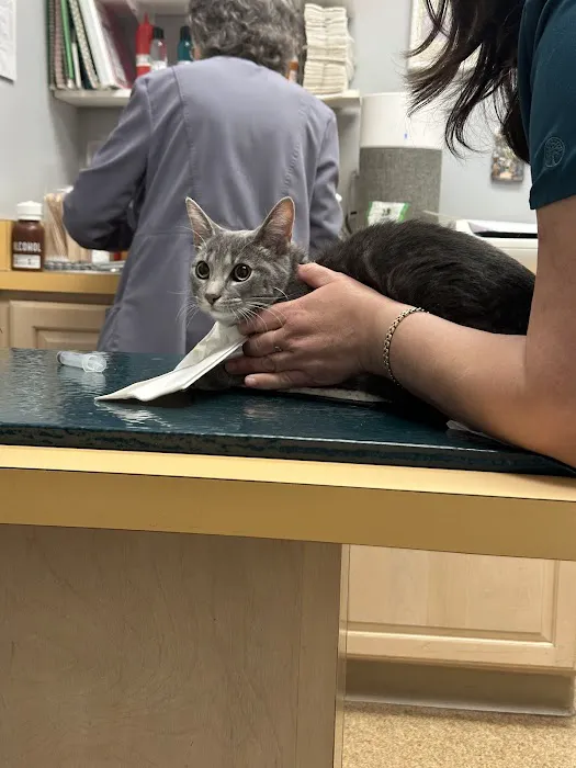 Country Court Animal Hospital 5