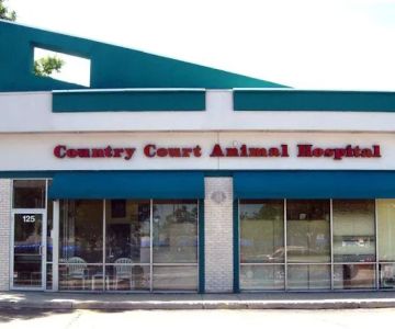 Country Court Animal Hospital