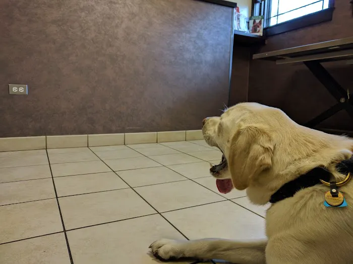 Glenview Animal Hospital 12