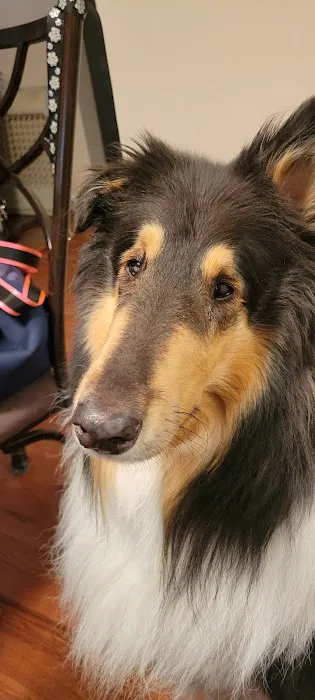 Glenview Animal Hospital 12