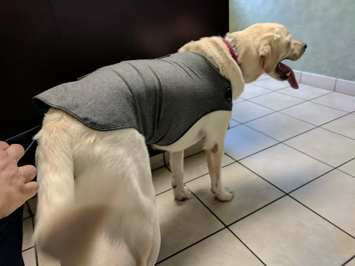 Glenview Animal Hospital 12