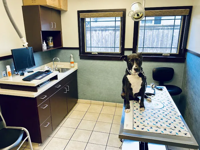 Glenview Animal Hospital 12