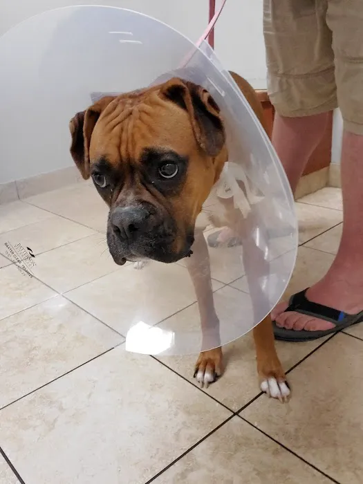 Lincolnshire Animal Hospital 1
