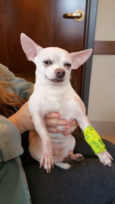 Animal Care Center of Barrington & Dental Referral Service 1