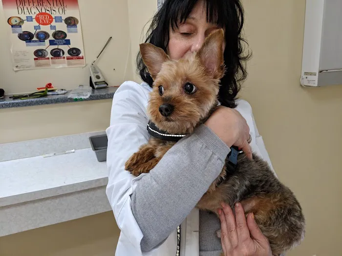 Animal Health Clinic-Wheeling 12