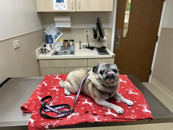 Mundelein Animal Hospital 12