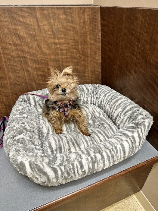 Mundelein Animal Hospital 12