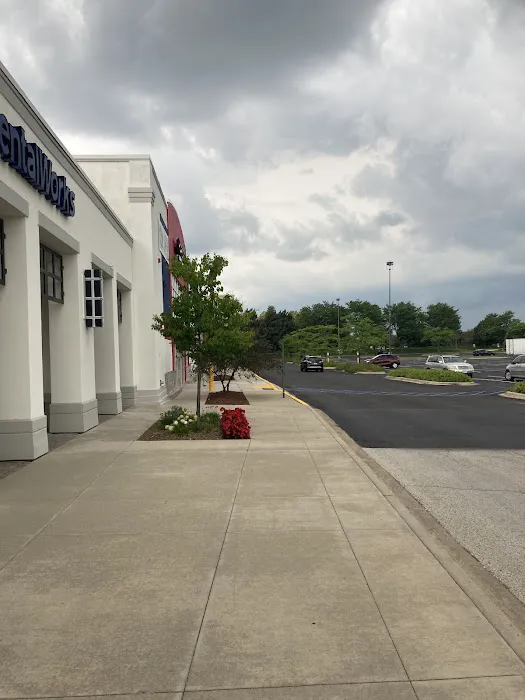 Townline Animal Hospital 8