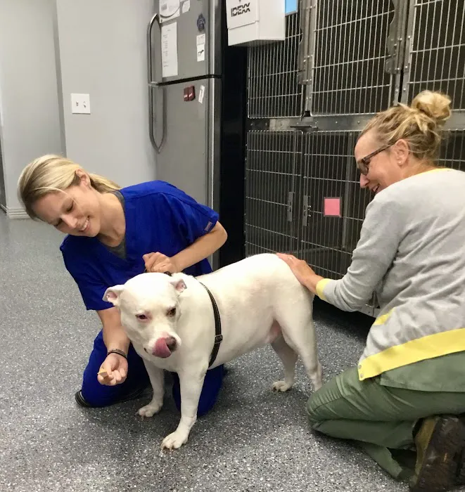 Townline Animal Hospital 10