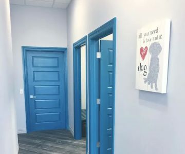 Townline Animal Hospital