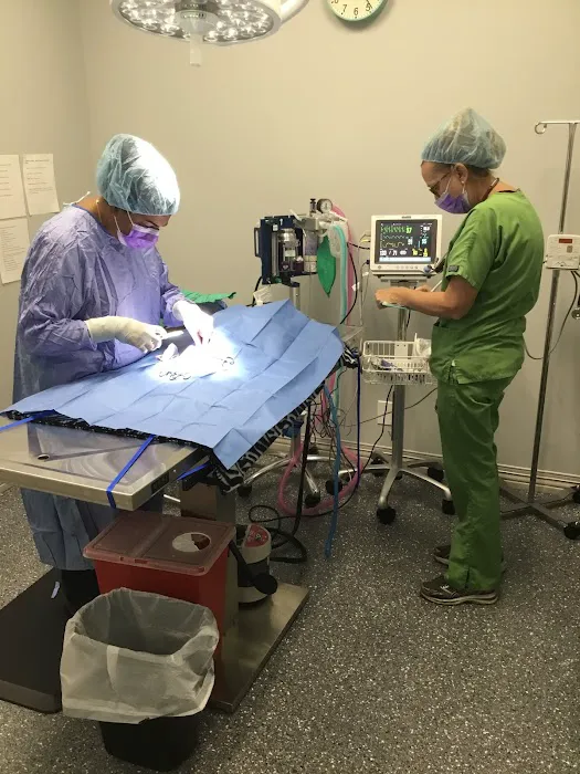 Townline Animal Hospital 5