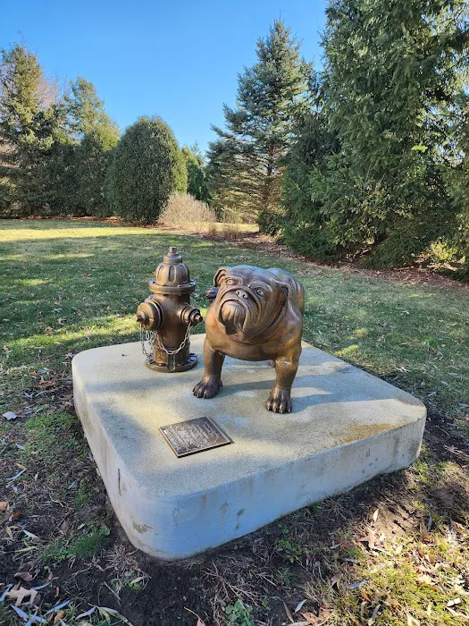 Ruth Helen Wolf Animal Clinic and Hospital 5