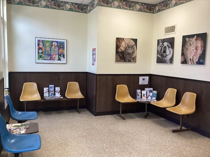 Lake Forest Animal Clinic, Ltd. - Margaret