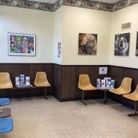 Lake Forest Animal Clinic, Ltd. - Margaret