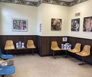 Lake Forest Animal Clinic, Ltd. - Margaret