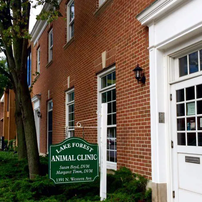 Lake Forest Animal Clinic, Ltd. - Margaret