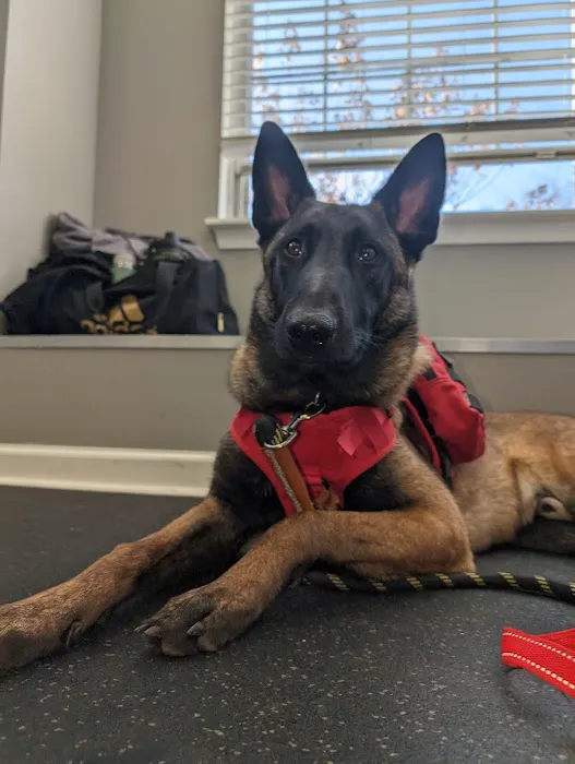 Lake Forest Animal Clinic, Ltd. - Margaret