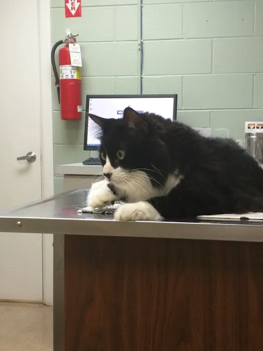 VCA Hawthorn Animal Hospital 12