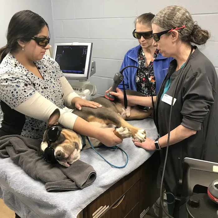 VCA Hawthorn Animal Hospital 12