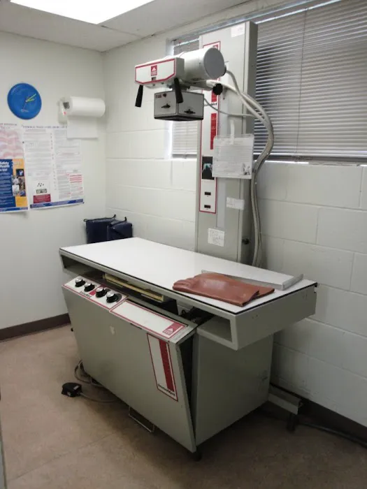 VCA Hawthorn Animal Hospital 12