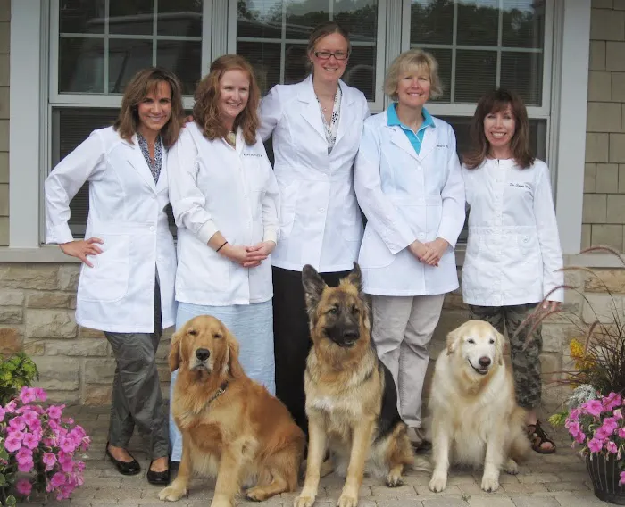 Skycrest Animal Clinic 4