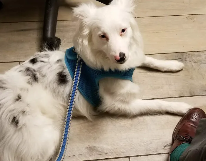 Skycrest Animal Clinic 5