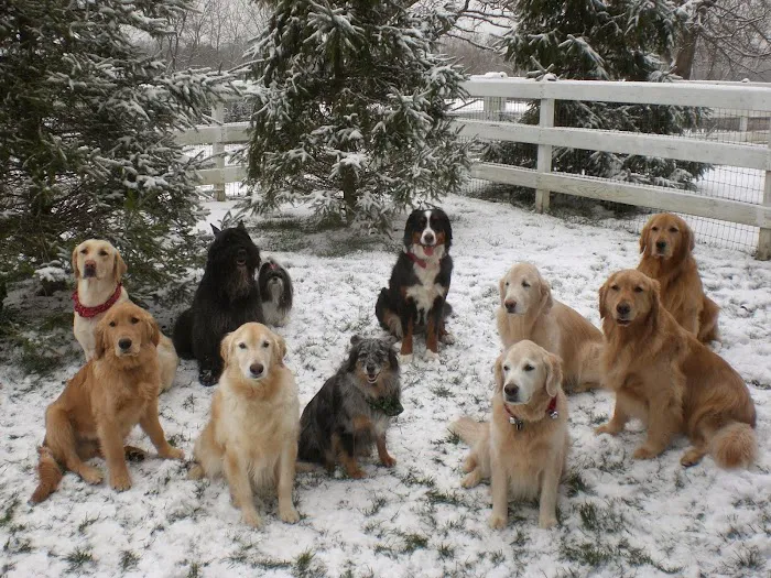 Skycrest Animal Clinic 1