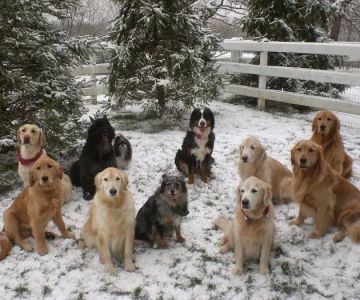 Skycrest Animal Clinic