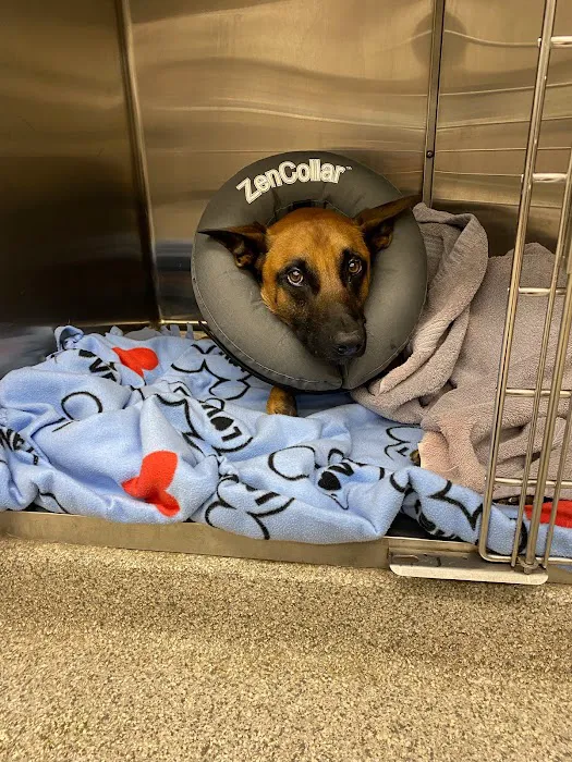 Skycrest Animal Clinic 10