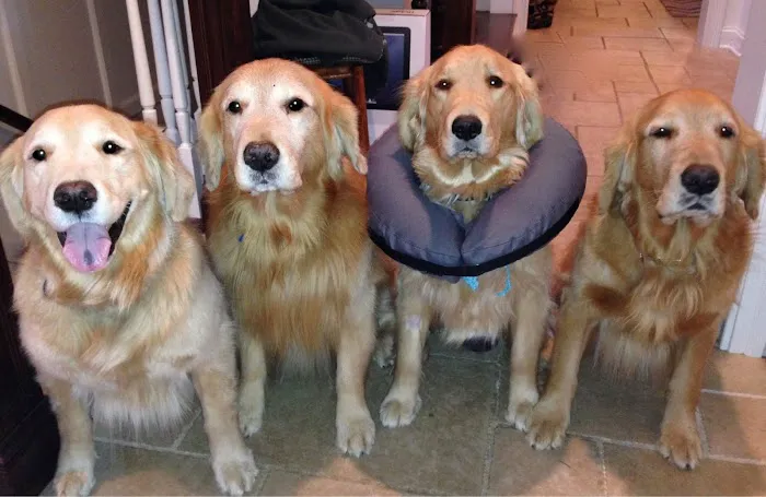 Skycrest Animal Clinic 8