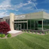 Animal Hospital of West Lake Forest ico