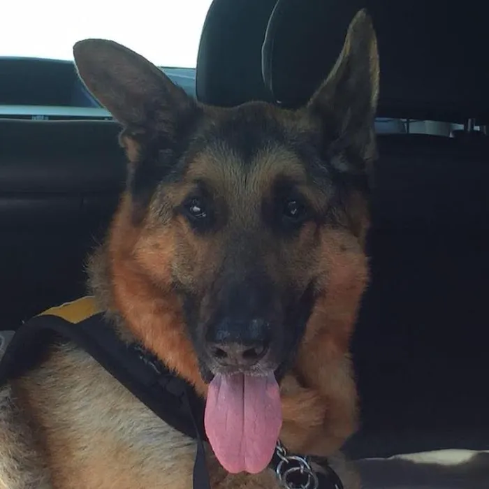 Animal Hospital of West Lake Forest 12