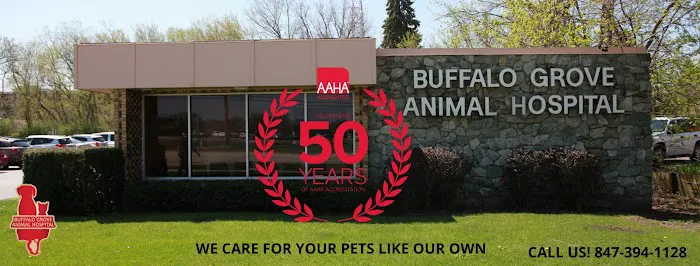 Buffalo Grove Animal Hospital 12