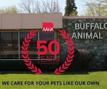 Buffalo Grove Animal Hospital