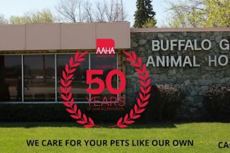 Buffalo Grove Animal Hospital