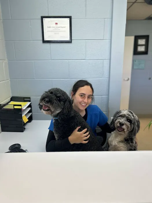 Buffalo Grove Animal Hospital 12
