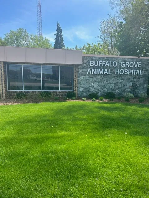 Buffalo Grove Animal Hospital 12