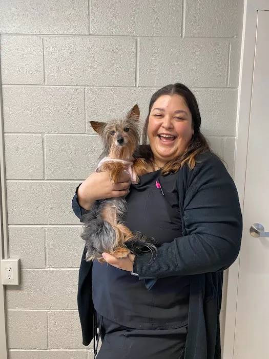 Buffalo Grove Animal Hospital 12