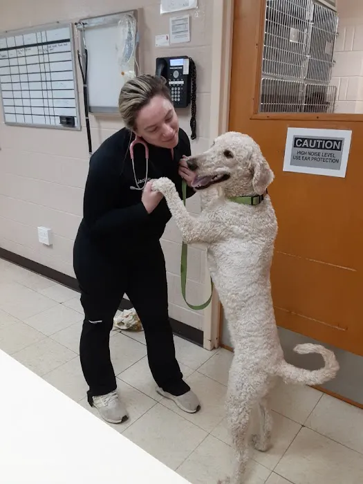 Buffalo Grove Animal Hospital 12