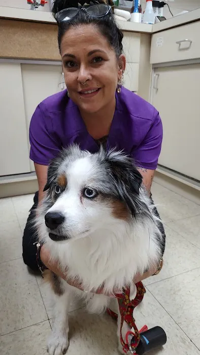 Buffalo Grove Animal Hospital 12