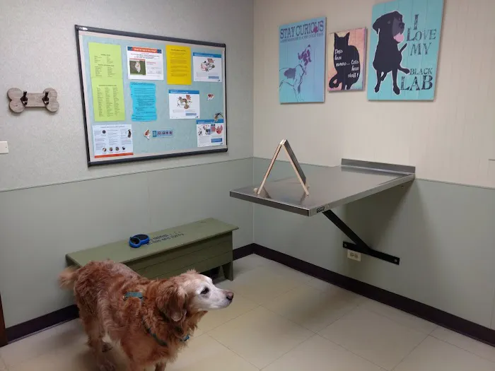 Companion Animal Hospital Mount Prospect 3