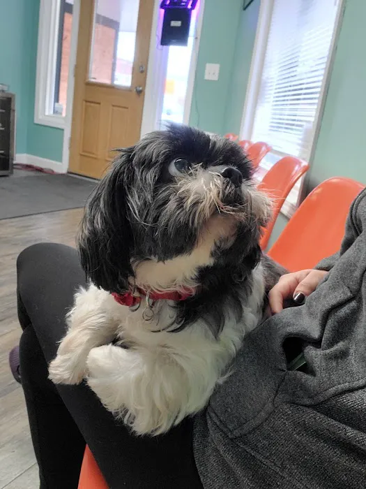 Northshore Animal Care 5