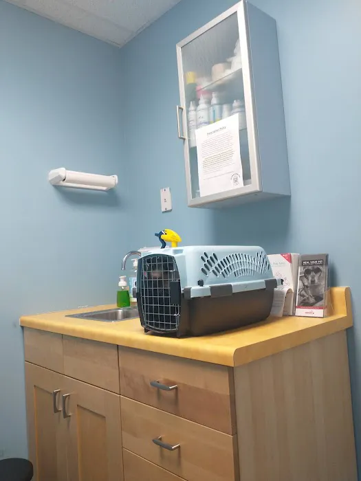 Northshore Animal Care 6