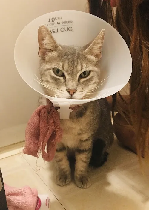 Becker Animal Hospital 12