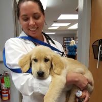 Becker Animal Hospital ico