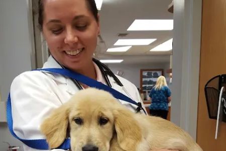 Becker Animal Hospital
