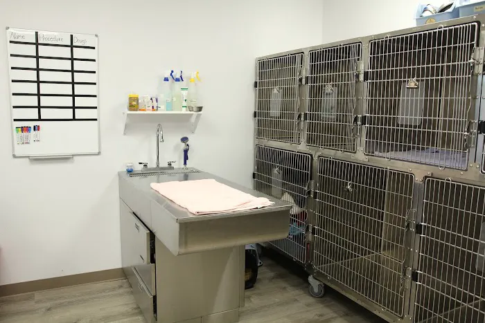 Kohn Animal Hospital 12