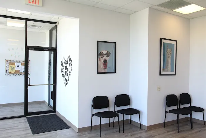 Kohn Animal Hospital 12
